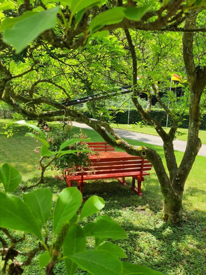 B&B Am Sahrbach Altenahr Zewnętrze zdjęcie