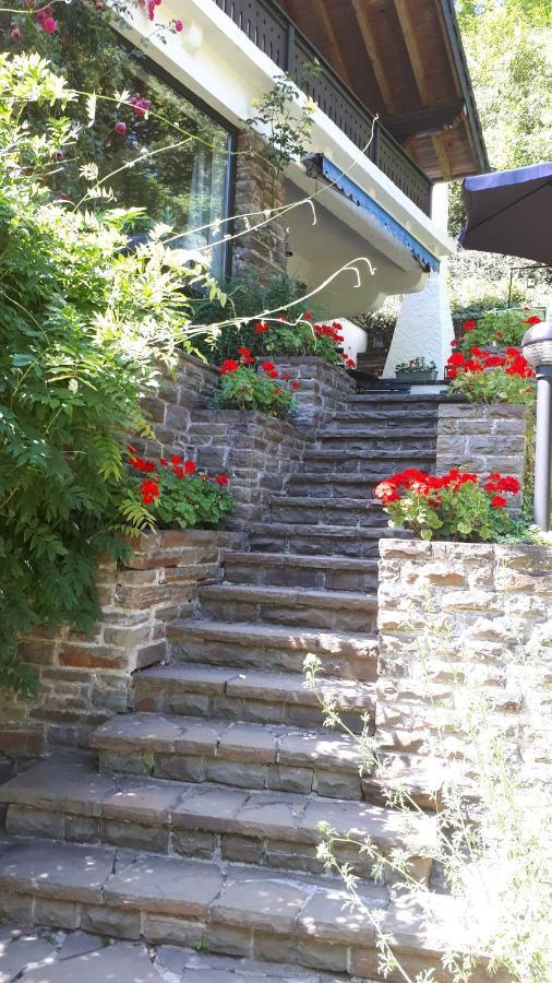 B&B Am Sahrbach Altenahr Zewnętrze zdjęcie